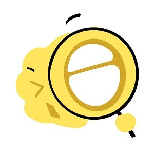 9.1免费版安装