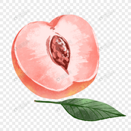 桃花TV直播